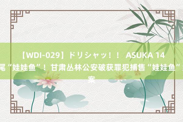 【WDI-029】ドリシャッ！！ ASUKA 147尾“娃娃鱼”！甘肃丛林公安破获罪犯捕售“娃娃鱼”案