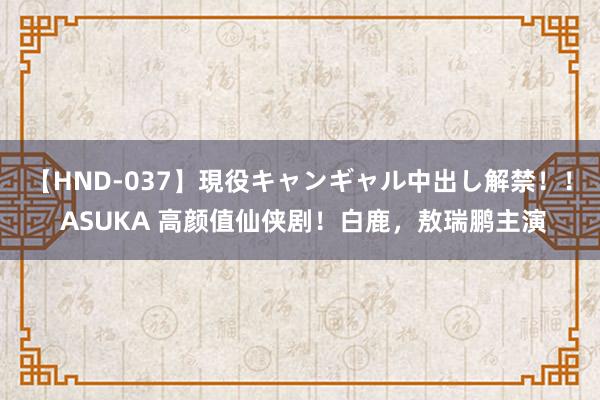 【HND-037】現役キャンギャル中出し解禁!! ASUKA 高颜值仙侠剧!白鹿,敖瑞鹏主演