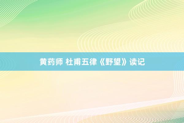 黄药师 杜甫五律《野望》读记