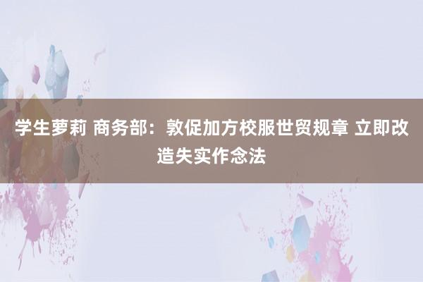 学生萝莉 商务部:敦促加方校服世贸规章 立即改造失实作念法