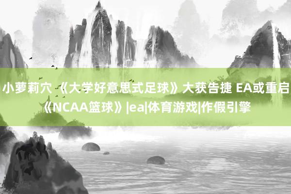 小萝莉穴 《大学好意思式足球》大获告捷 EA或重启《NCAA篮球》|ea|体育游戏|作假引擎