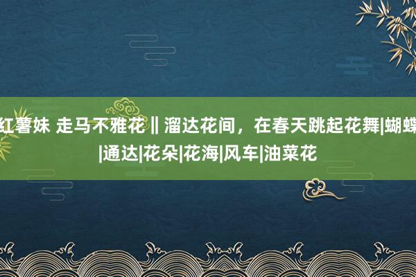 红薯妹 走马不雅花‖溜达花间，在春天跳起花舞|蝴蝶|通达|花朵|花海|风车|油菜花