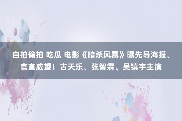 自拍偷拍 吃瓜 电影《暗杀风暴》曝先导海报、官宣威望！古天乐、张智霖、吴镇宇主演