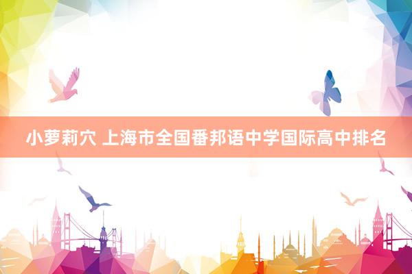 小萝莉穴 上海市全国番邦语中学国际高中排名