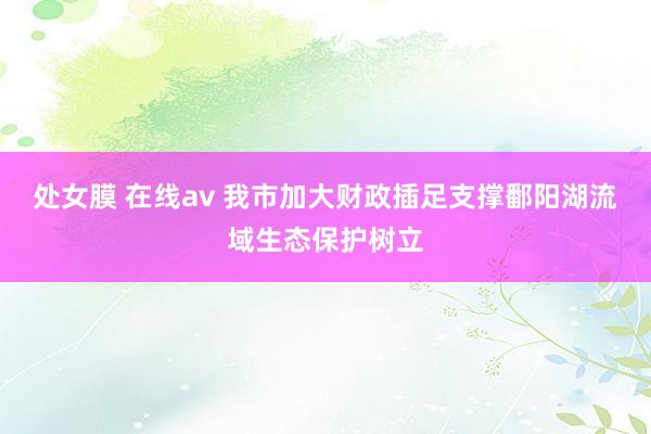 处女膜 在线av 我市加大财政插足支撑鄱阳湖流域生态保护树立