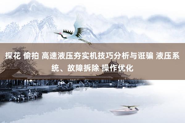 探花 偷拍 高速液压夯实机技巧分析与诳骗 液压系统、故障拆除 操作优化