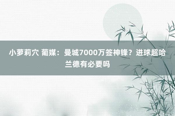 小萝莉穴 葡媒：曼城7000万签神锋？进球超哈兰德有必要吗