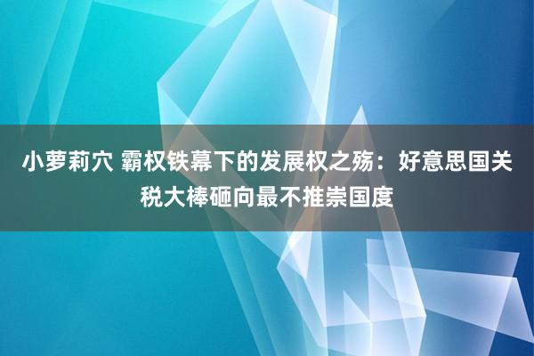 小萝莉穴 霸权铁幕下的发展权之殇：好意思国关税大棒砸向最不推崇国度
