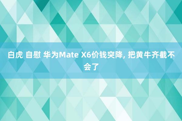 白虎 自慰 华为Mate X6价钱突降， 把黄牛齐截不会了