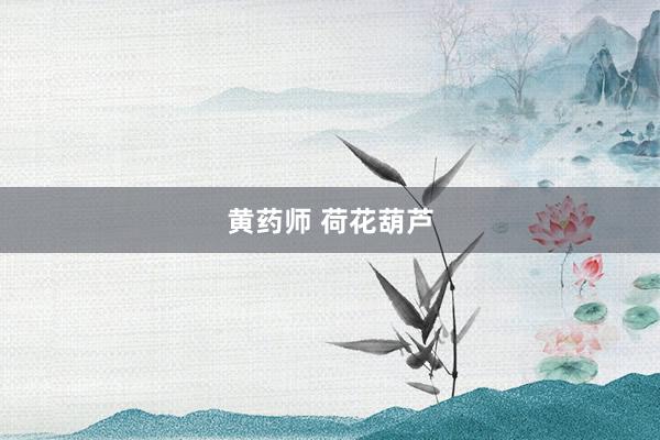 黄药师 荷花葫芦